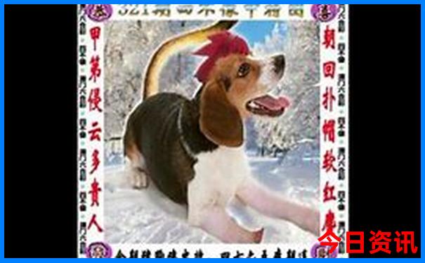 大同一日游去哪里比较好